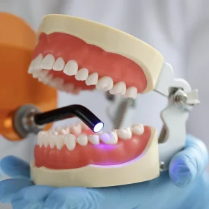Pasta Teeth Price